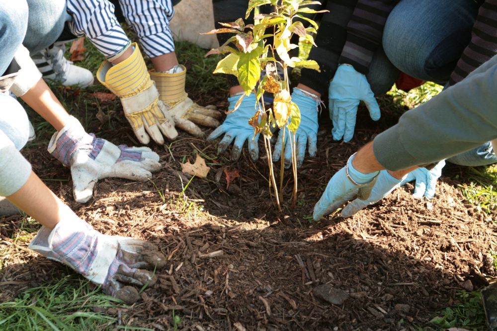 Eco Empowerment